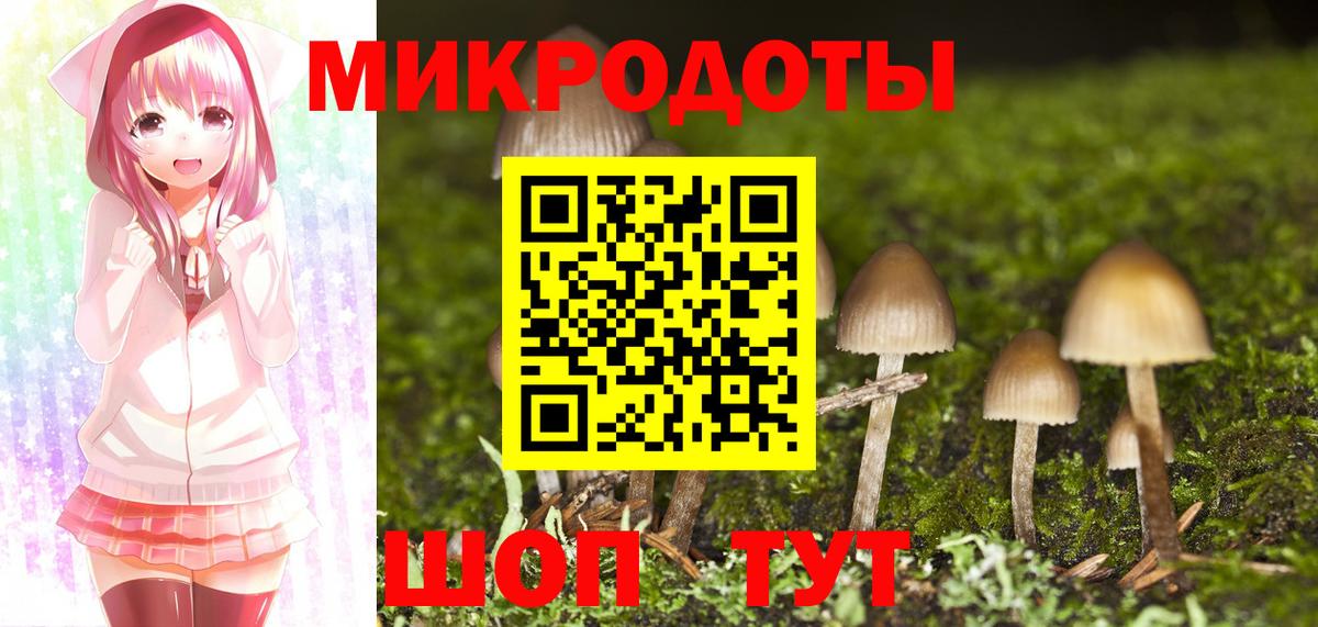 Элиста  Галлюциногенные грибы GOLDEN TEACHER  Вход с VPN 